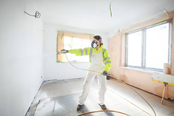 Reliable Rosedale, LA Mold Removal Solutions