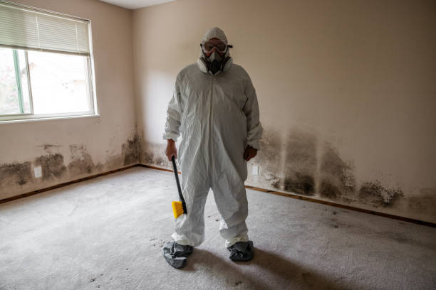 Best Mold Removal for HVAC Installations  in Rosedale, LA